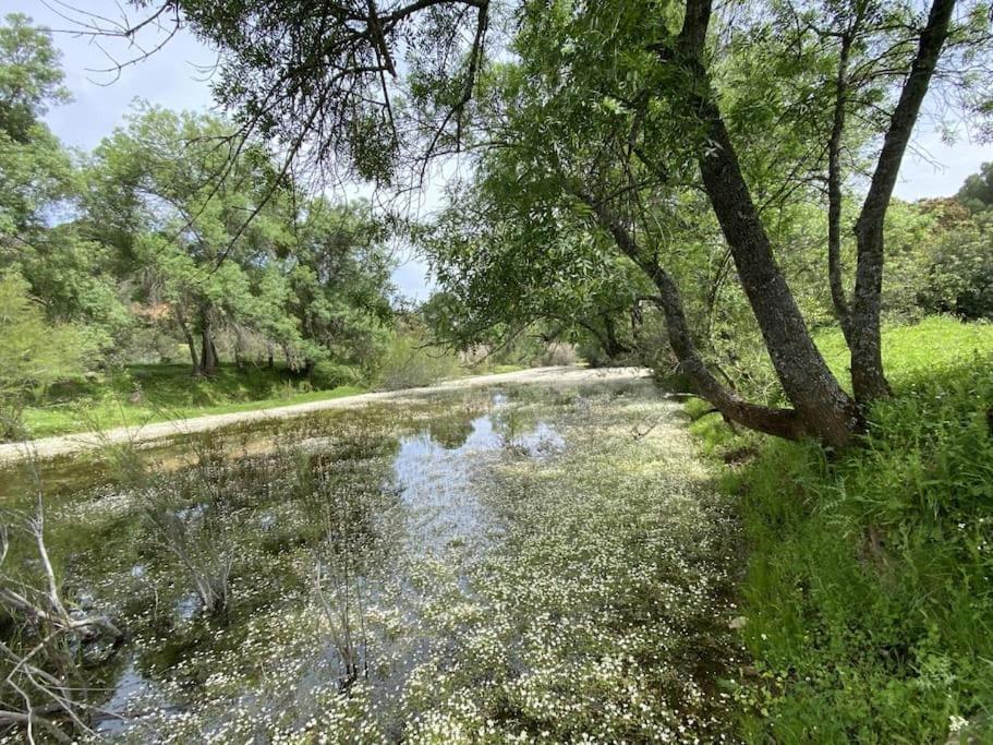 Finca La Alcolehuela En Parque Natural De Despenaperros 圣埃伦娜 外观 照片