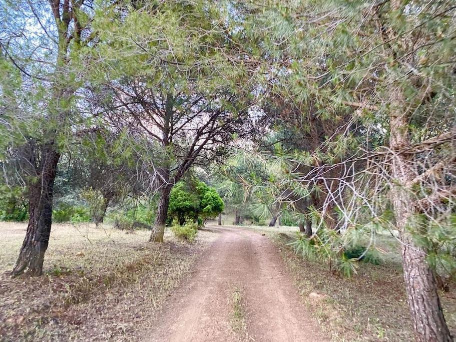 Finca La Alcolehuela En Parque Natural De Despenaperros 圣埃伦娜 外观 照片