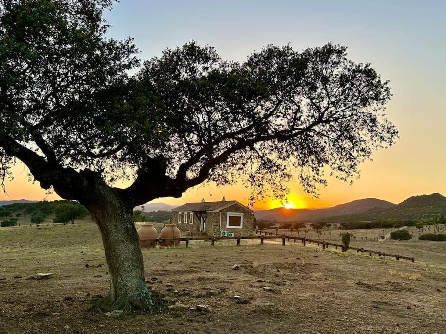 Finca La Alcolehuela En Parque Natural De Despenaperros 圣埃伦娜 外观 照片