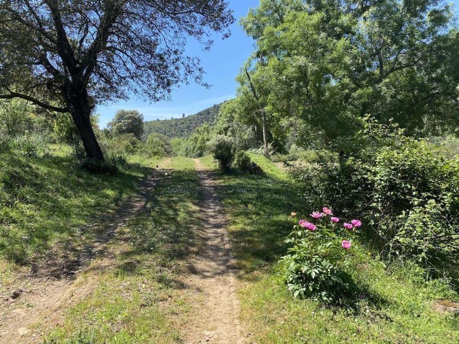 Finca La Alcolehuela En Parque Natural De Despenaperros 圣埃伦娜 外观 照片