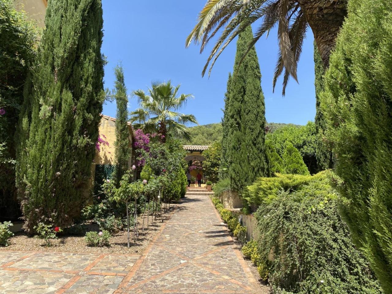 Finca La Alcolehuela En Parque Natural De Despenaperros 圣埃伦娜 外观 照片
