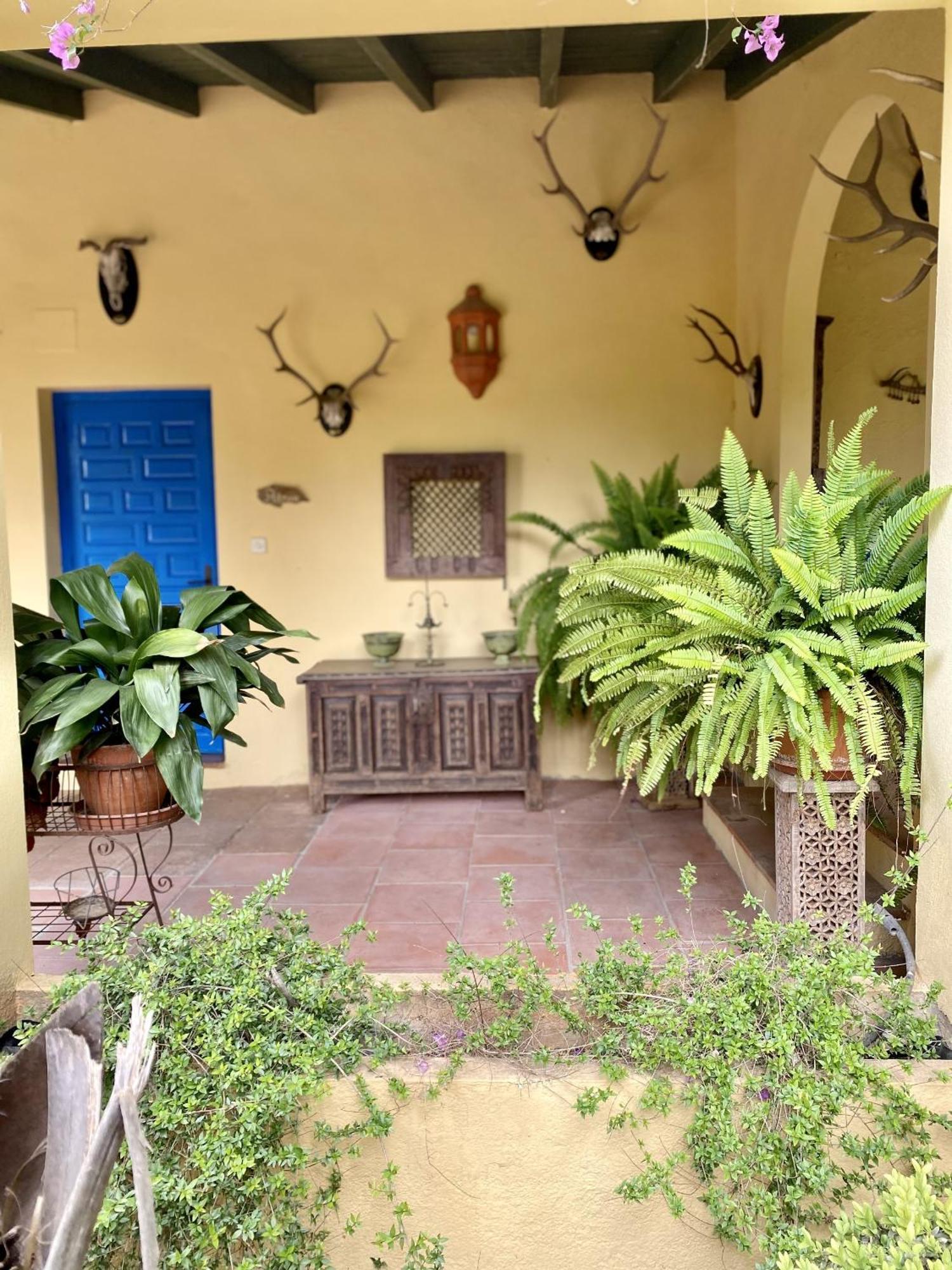 Finca La Alcolehuela En Parque Natural De Despenaperros 圣埃伦娜 外观 照片